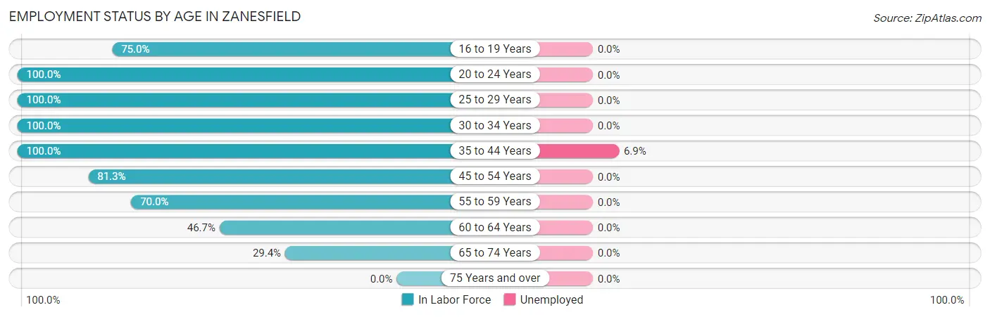 Employment Status by Age in Zanesfield