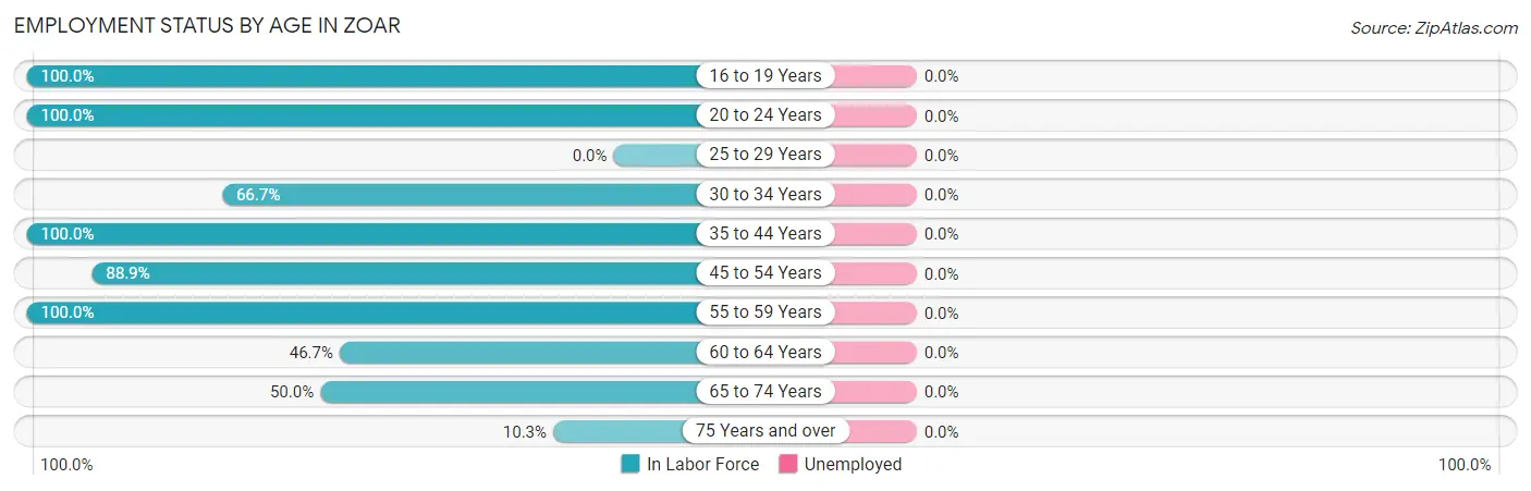 Employment Status by Age in Zoar