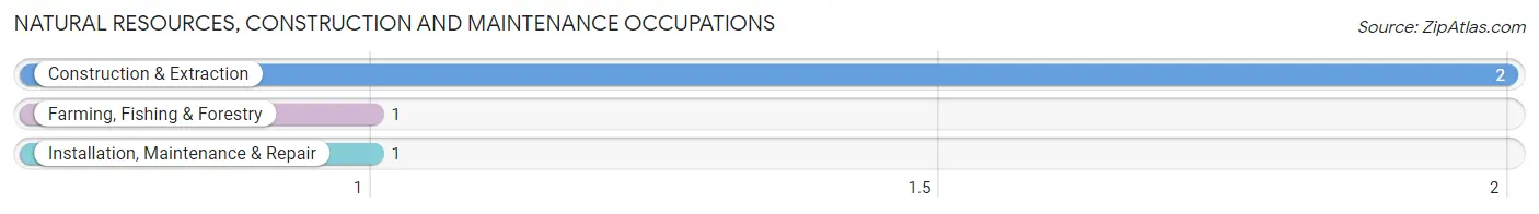 Natural Resources, Construction and Maintenance Occupations in Addington