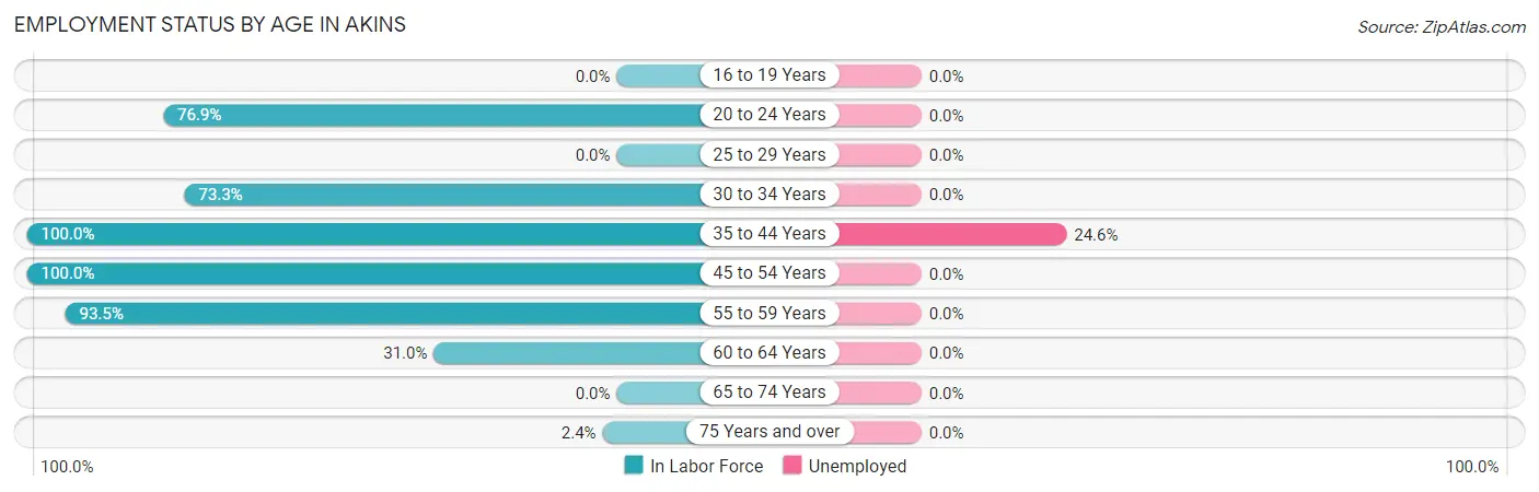 Employment Status by Age in Akins