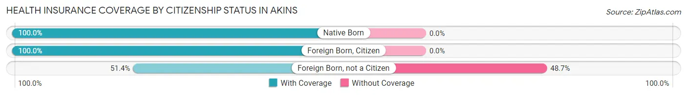 Health Insurance Coverage by Citizenship Status in Akins