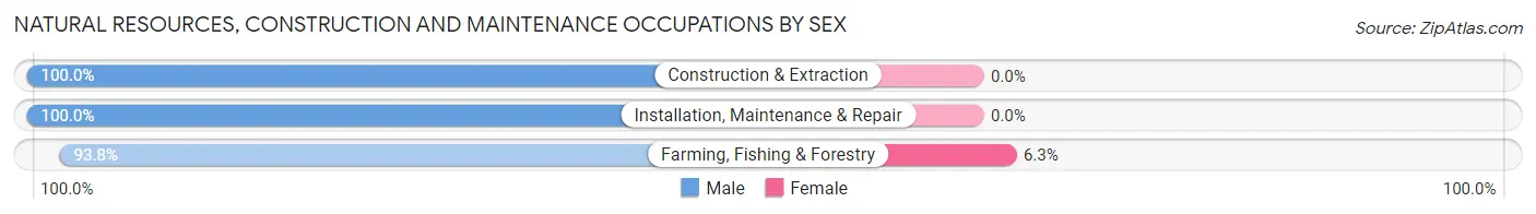 Natural Resources, Construction and Maintenance Occupations by Sex in Aline