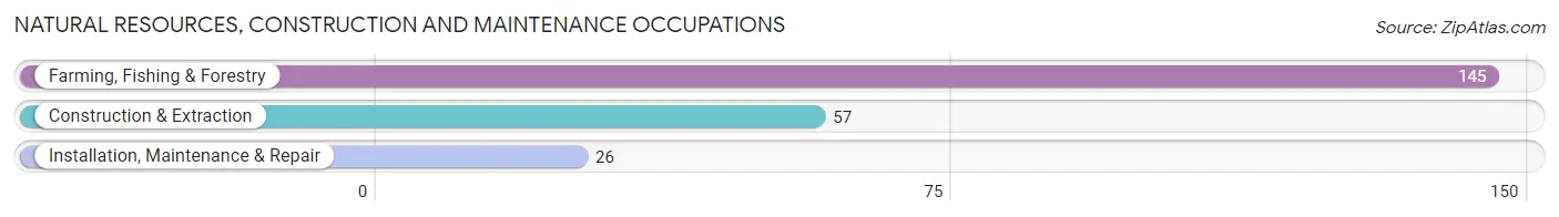 Natural Resources, Construction and Maintenance Occupations in Alva