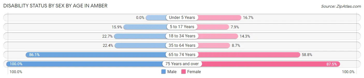 Disability Status by Sex by Age in Amber