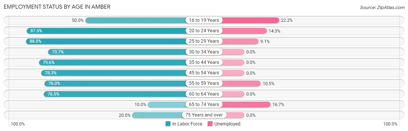 Employment Status by Age in Amber