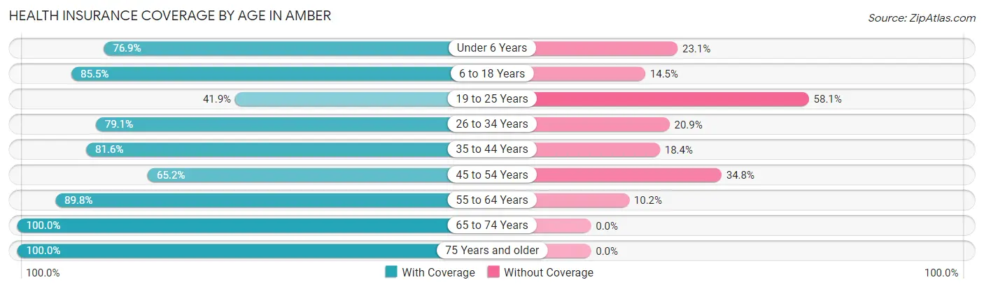 Health Insurance Coverage by Age in Amber
