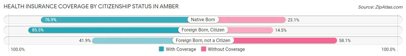 Health Insurance Coverage by Citizenship Status in Amber