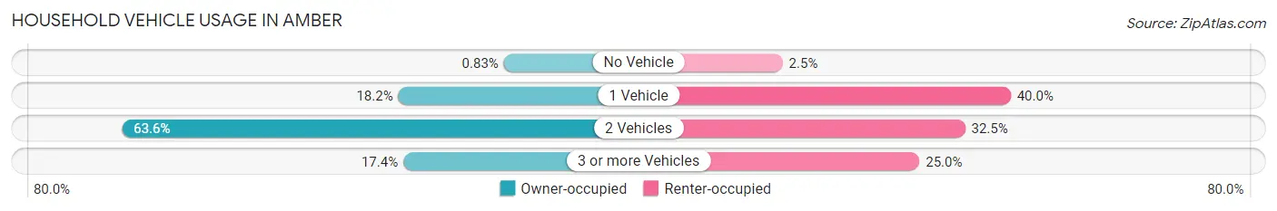 Household Vehicle Usage in Amber