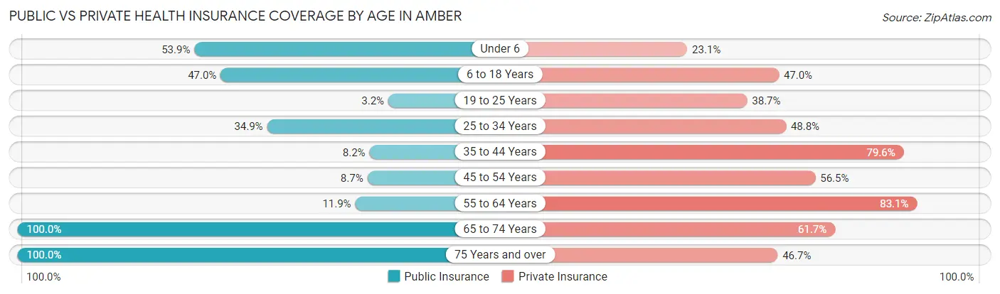 Public vs Private Health Insurance Coverage by Age in Amber