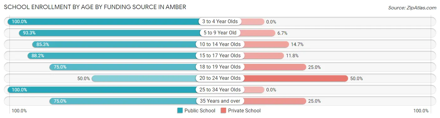 School Enrollment by Age by Funding Source in Amber