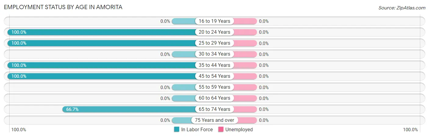 Employment Status by Age in Amorita
