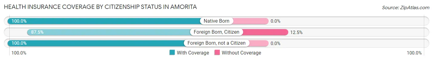 Health Insurance Coverage by Citizenship Status in Amorita