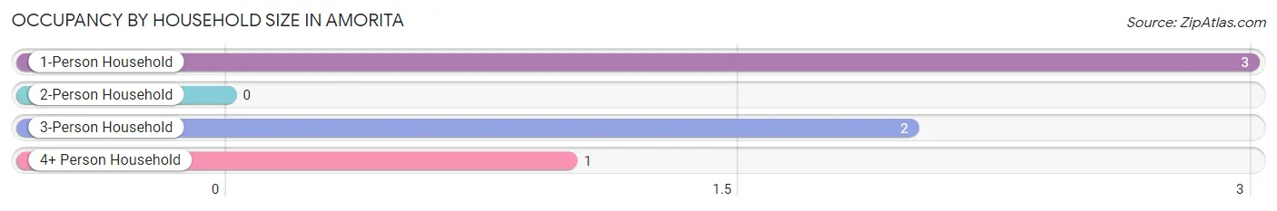 Occupancy by Household Size in Amorita