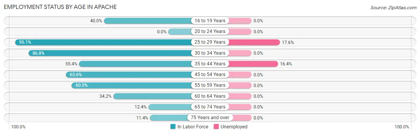 Employment Status by Age in Apache
