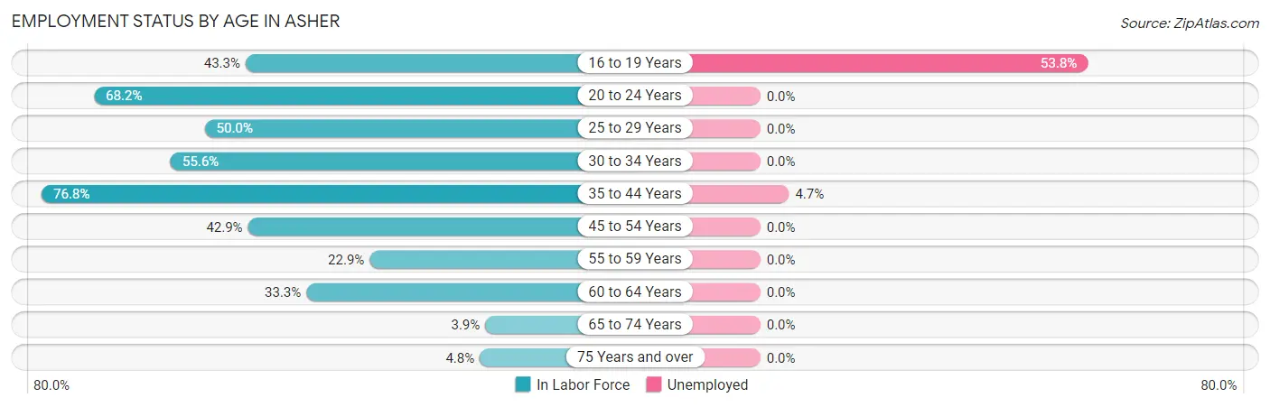 Employment Status by Age in Asher