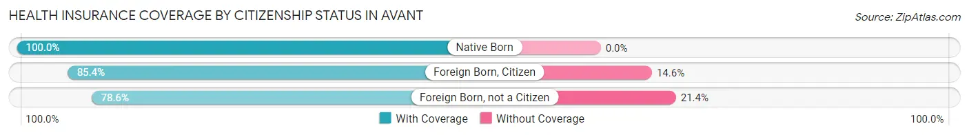 Health Insurance Coverage by Citizenship Status in Avant