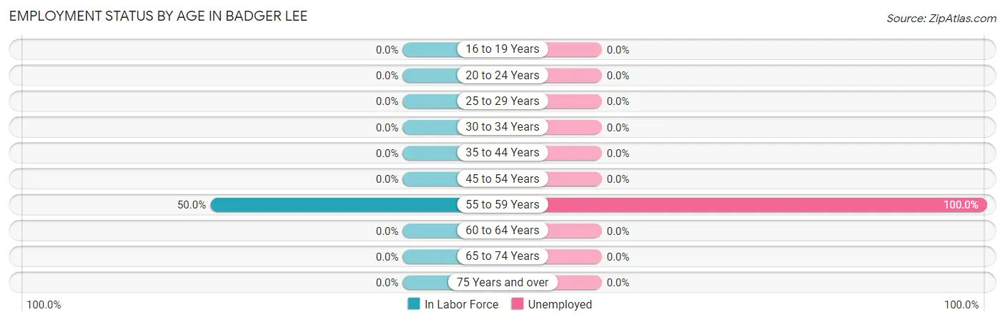 Employment Status by Age in Badger Lee