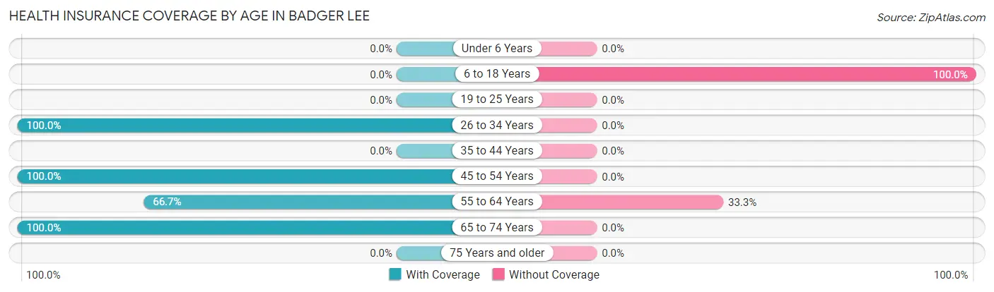 Health Insurance Coverage by Age in Badger Lee