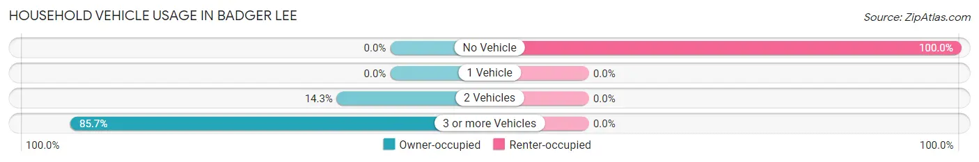 Household Vehicle Usage in Badger Lee