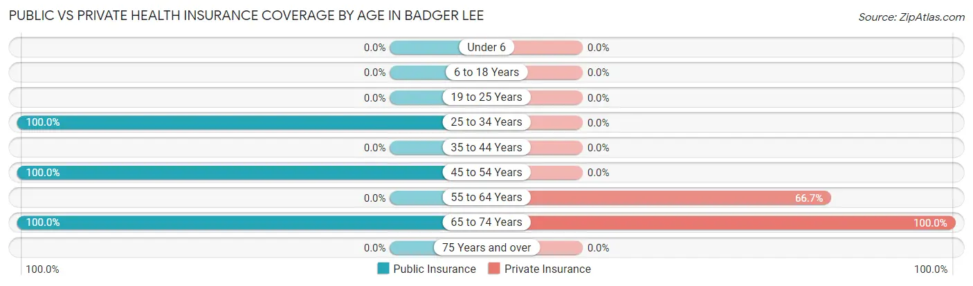 Public vs Private Health Insurance Coverage by Age in Badger Lee