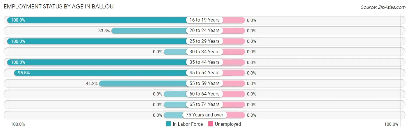 Employment Status by Age in Ballou