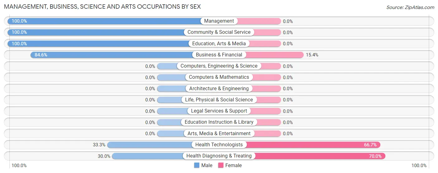 Management, Business, Science and Arts Occupations by Sex in Bearden