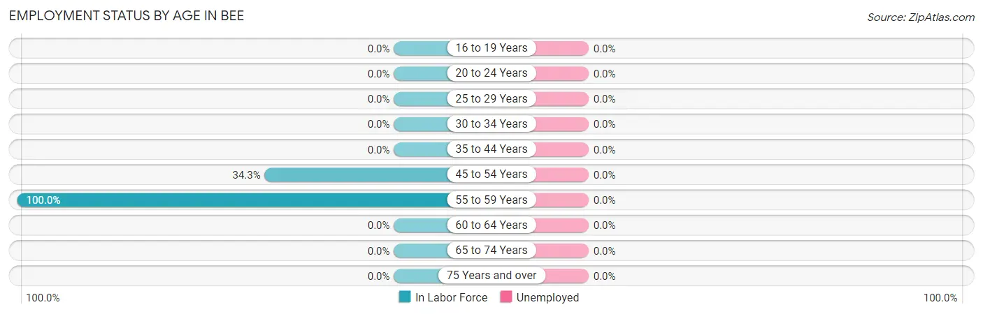 Employment Status by Age in Bee