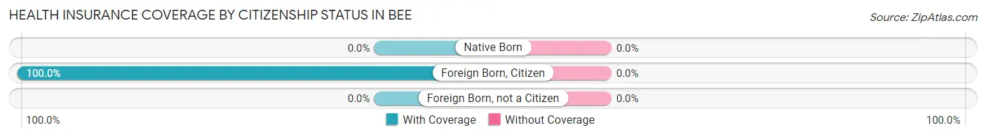 Health Insurance Coverage by Citizenship Status in Bee