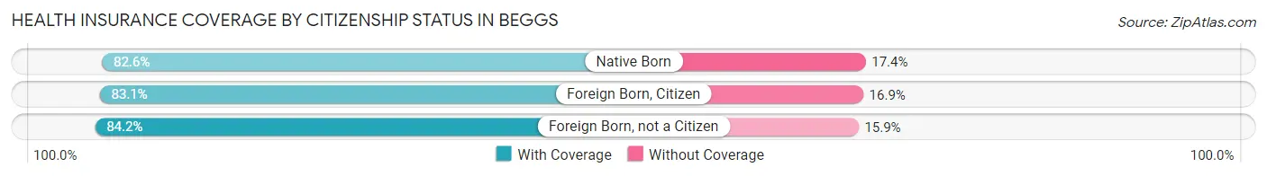 Health Insurance Coverage by Citizenship Status in Beggs