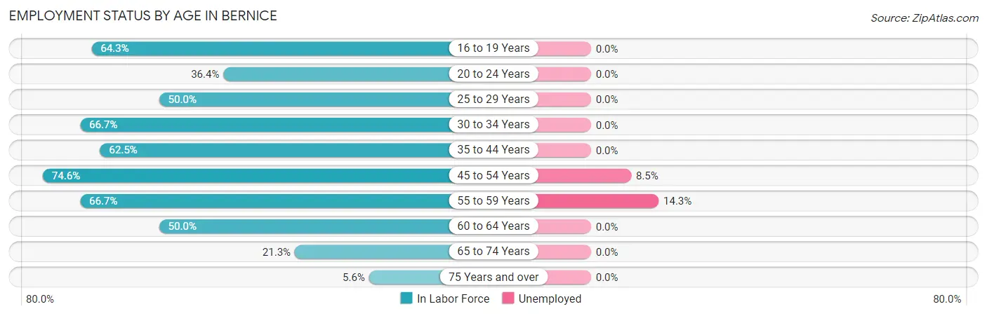 Employment Status by Age in Bernice