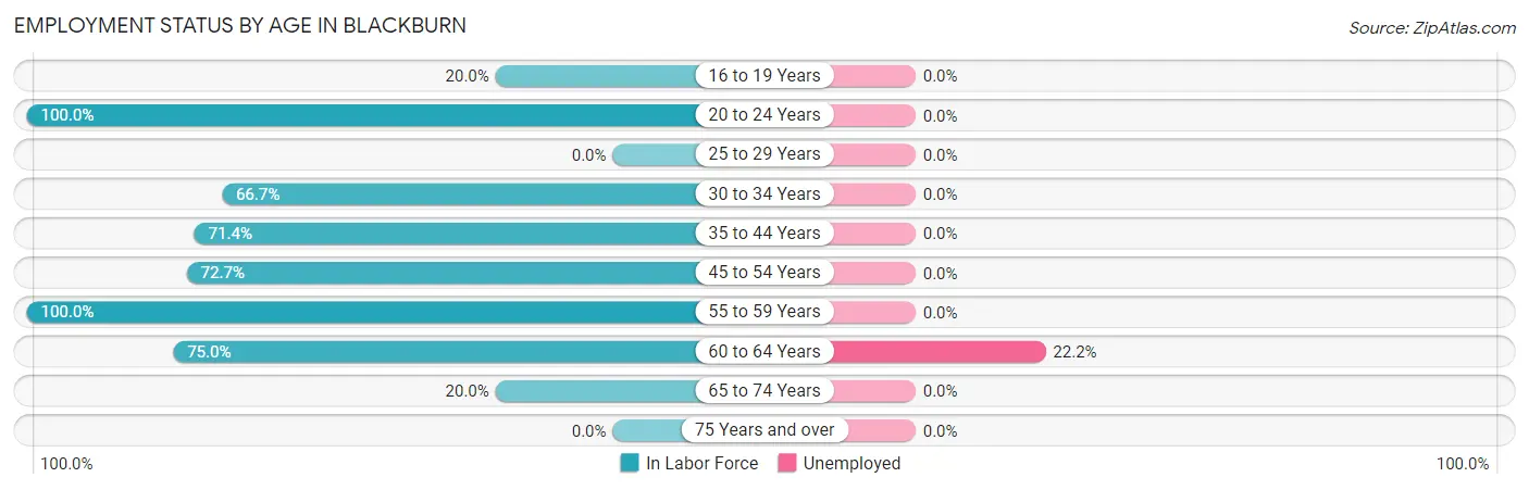 Employment Status by Age in Blackburn
