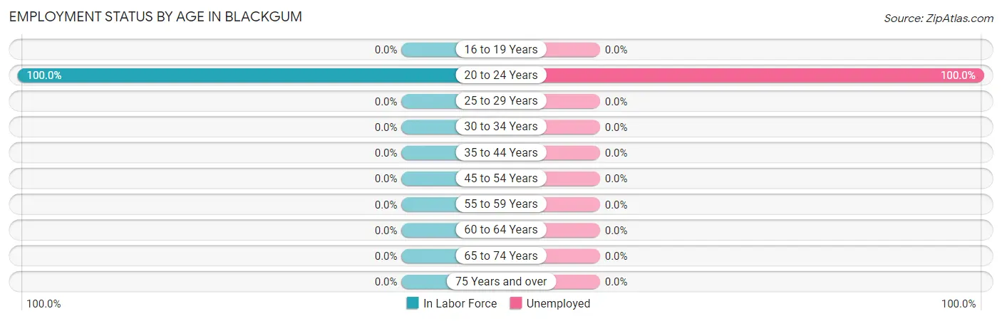Employment Status by Age in Blackgum