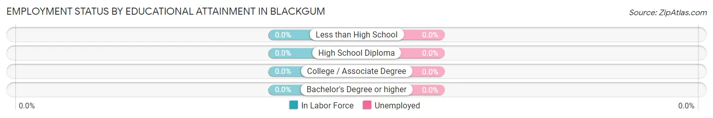Employment Status by Educational Attainment in Blackgum