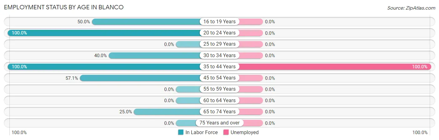 Employment Status by Age in Blanco