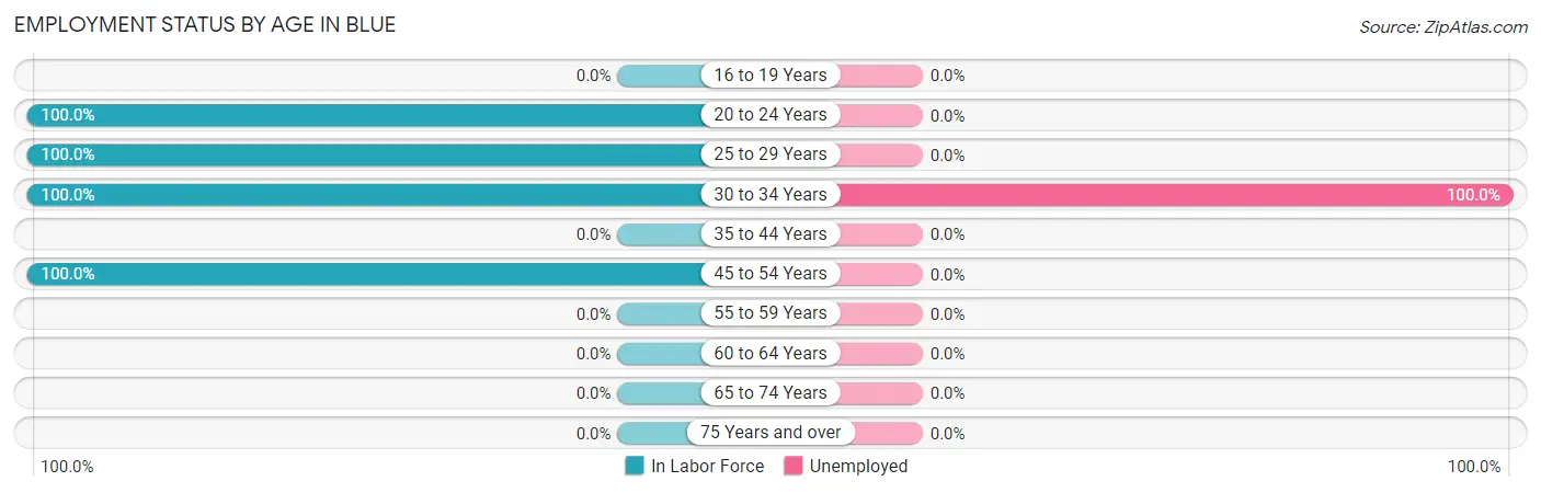 Employment Status by Age in Blue