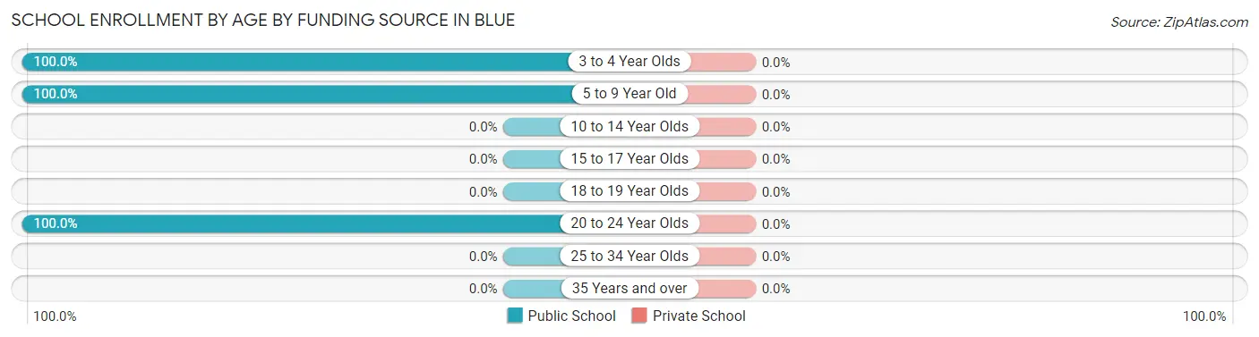 School Enrollment by Age by Funding Source in Blue
