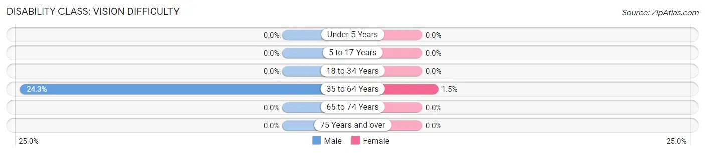 Disability in Boise City: <span>Vision Difficulty</span>