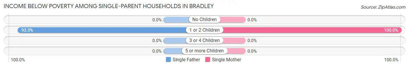 Income Below Poverty Among Single-Parent Households in Bradley