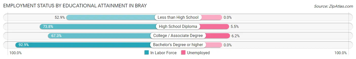 Employment Status by Educational Attainment in Bray