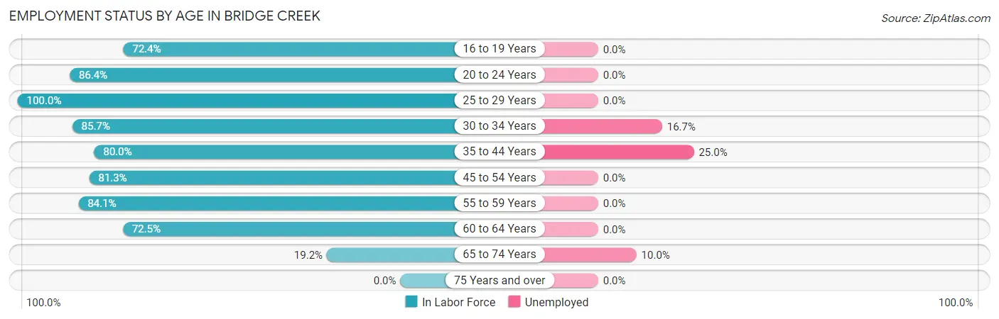 Employment Status by Age in Bridge Creek