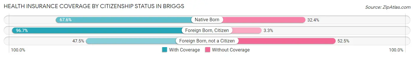 Health Insurance Coverage by Citizenship Status in Briggs
