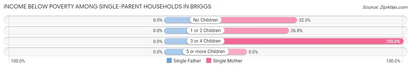 Income Below Poverty Among Single-Parent Households in Briggs