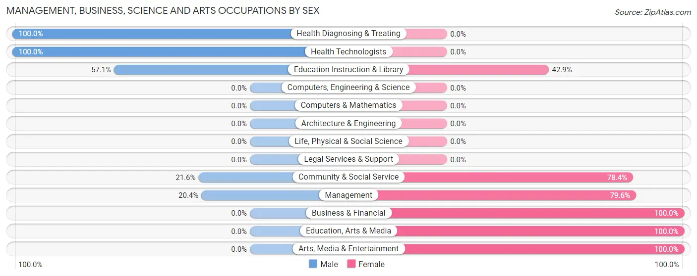 Management, Business, Science and Arts Occupations by Sex in Briggs