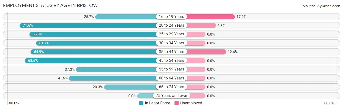 Employment Status by Age in Bristow