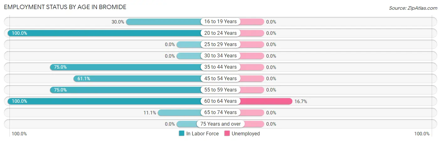 Employment Status by Age in Bromide