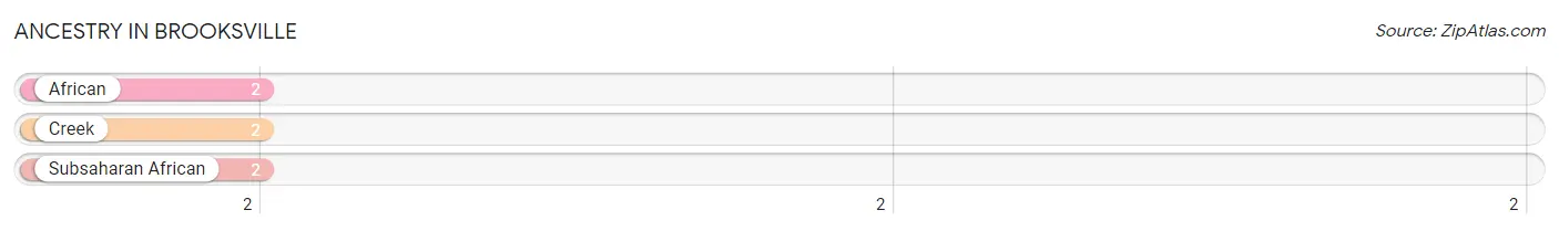 Ancestry in Brooksville