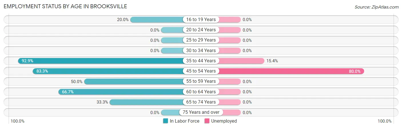 Employment Status by Age in Brooksville