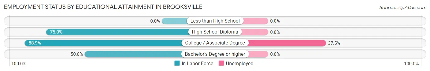 Employment Status by Educational Attainment in Brooksville