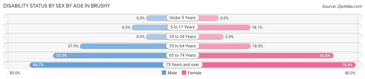 Disability Status by Sex by Age in Brushy
