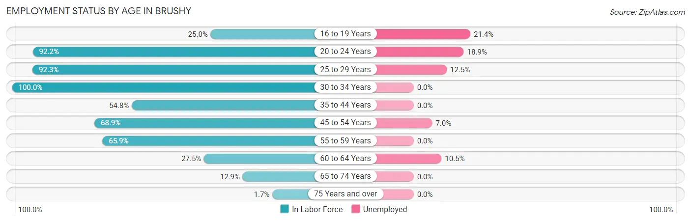 Employment Status by Age in Brushy